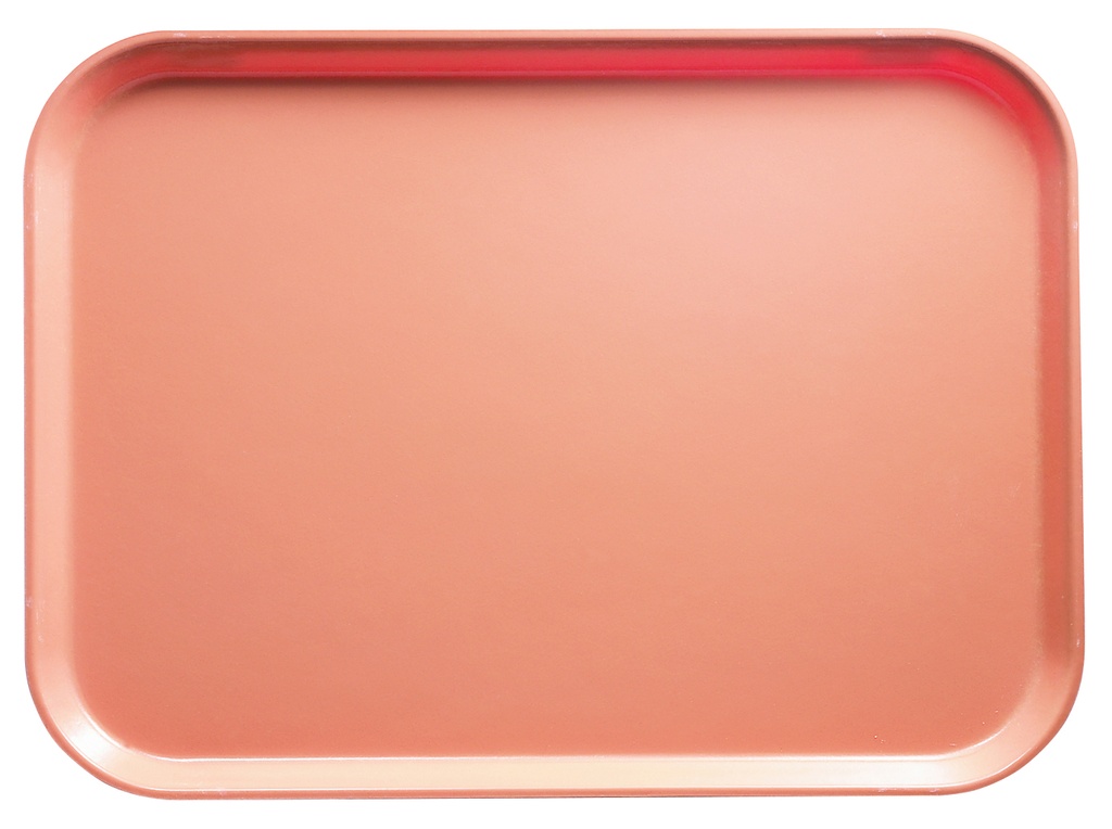 Tácka CAMTRAY 27,5x40,5