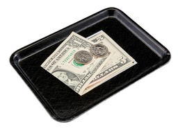 Tácka CAMTRAY 11x15